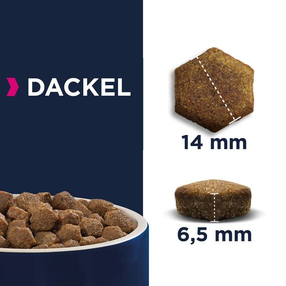 Eukanuba Breed Specific Dackel Trockenfutter - optimal auf die Rasse abgestimmtes Premium Hundefutter mit Huhn, 2,5 kg