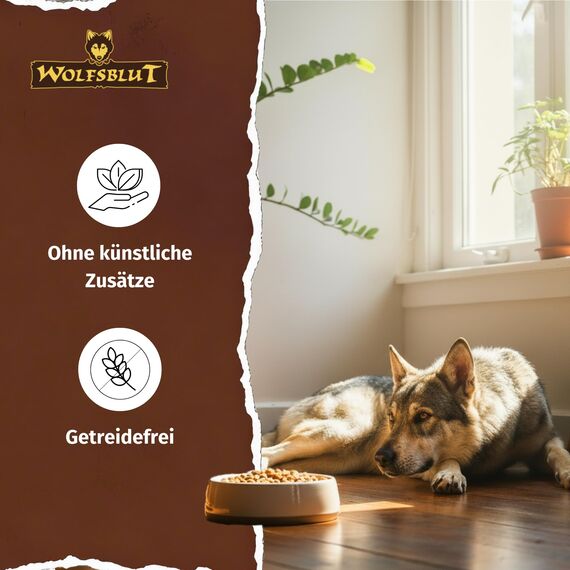 WOLFSBLUT – Green Valley Adult | Trockenfutter mit natürlichen Zutaten und Superfoods für ausgewachsene Hunde. Getreidefreies Alleinfutter ohne Zusatzstoffe im Beutel | 12,5kg Lamm und Lachs