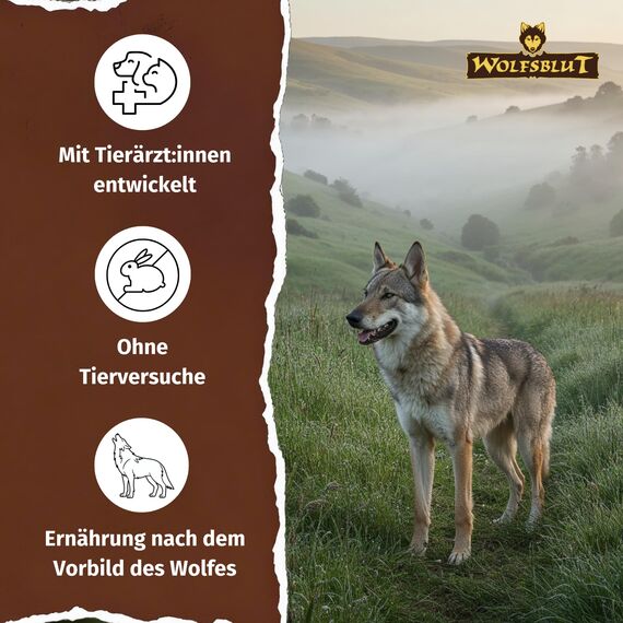 WOLFSBLUT – Green Valley Adult | Trockenfutter mit natürlichen Zutaten und Superfoods für ausgewachsene Hunde. Getreidefreies Alleinfutter ohne Zusatzstoffe im Beutel | 12,5kg Lamm und Lachs