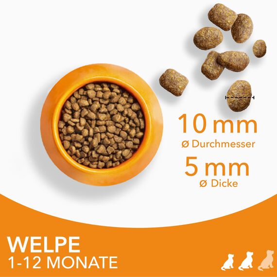 IAMS Junior Hundefutter trocken mit Huhn - Welpenfutter für Welpen im Alter von 1-12 Monaten, geeignet für kleine & mittelgroße Rassen, 3 kg