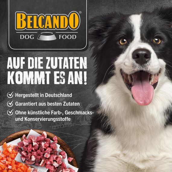 BELCANDO Adult Lamb & Rice [12,5 kg] Hundefutter | Trockenfutter mit Lamm für empfindliche Hunde | Alleinfuttermittel für ausgewachsene Hunde ab 1 Jahr
