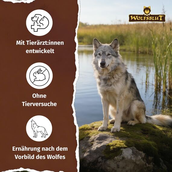 WOLFSBLUT – Wild Duck Senior | Trockenfutter mit natürlichen Zutaten und Superfoods für ältere Hunde. Getreidefreies Alleinfutter ohne Zusatzstoffe im Beutel | 12,5kg Ente