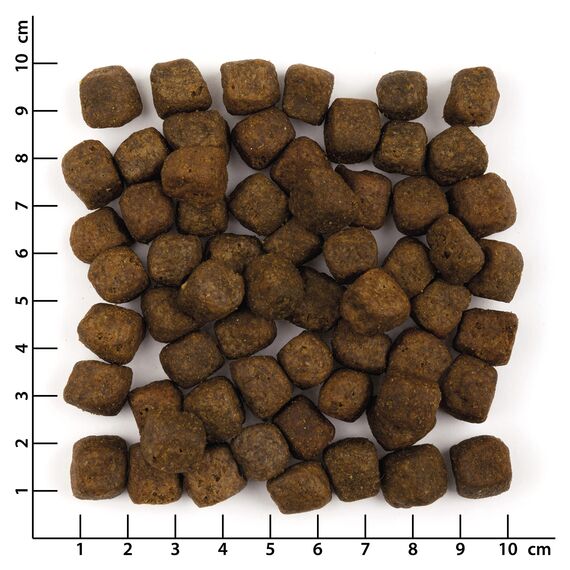 Wolfsblut - Wild Duck Adult - 15 kg - Ente - Trockenfutter - Hundefutter - Getreidefrei