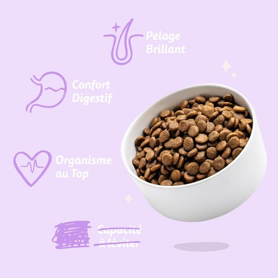 Edgard & Cooper Hundefutter trocken Getreidefrei für Medium Adult Hunde (7kg), frische Ente mit extra Glucosamin, Natürliche, hypoallergene Rezeptur, nie Fischmehl