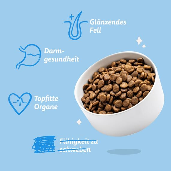 Edgard & Cooper Hundefutter trocken für Medium Adult Hunde (7kg), frischer Lachs, ausgewogene Ballaststoffe für die Darmgesundheit, Natürliche, hypoallergene Rezeptur, nie Fischmehl