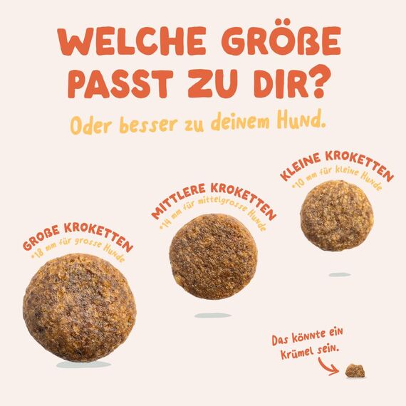 Edgard & Cooper Hundefutter trocken Getreidefrei für Small Adult Hunde (3kg), frisches Huhn, ausgewogene Ballaststoffe für die Darmgesundheit, mit Apfel, Süßkartoffel und Grünkohl