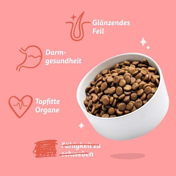 Edgard & Cooper Hundefutter, Trockenfutter für Senior Hunde, (Lachs, 2.5kg), Getreidefrei, natürliche Zutaten und frisches Fleisch, voller essentieller Aminosäuren