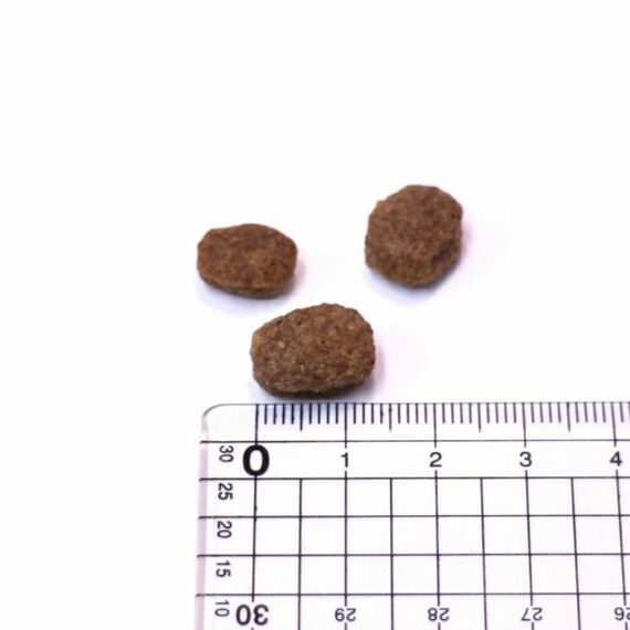animonda INTEGRA PROTECT Hundefutter Renal (1 x 700g), von Veterinären empfohlen bei Niereninsuffizienz, Hochwertiges Diätalleinfutter für Hunde gegen Nierenprobleme