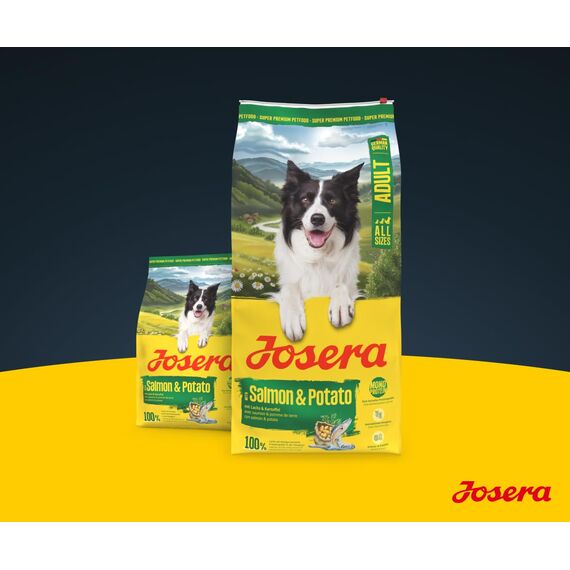 JOSERA Adult Lachs & Kartoffel (1 x 3 kg) | Premium Trockenfutter für ausgewachsene Hunde (auch Senioren) | Monoprotein - 100% Lachs | wenig Protein | getreidefrei | Hundefutter | 1er Pack