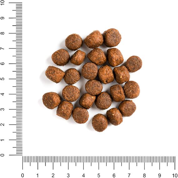 The Hunger of the Wolf Hundefutter für ausgewachsene Hunde aller Rassen, Fein zubereitetes Trockenfutter ohne Getreide mit Wildfleisch und Süßkartoffeln - 3 kg