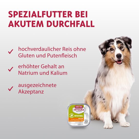 animonda INTEGRA PROTECT Intestinal Pute Pur (11 x 150 g), Hunde Diätfutter bei Durchfall & Erbrechen, Hundefutter mit Pute und Reis, leicht verdauliches Nassfutter für Hunde