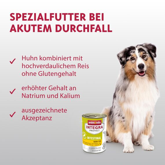 animonda INTEGRA PROTECT Intestinal Huhn Pur (6 x 400 g), Hunde Diätfutter bei Durchfall & Erbrechen, Hundefutter mit Huhn und Reis, leicht verdauliches Nassfutter für Hunde
