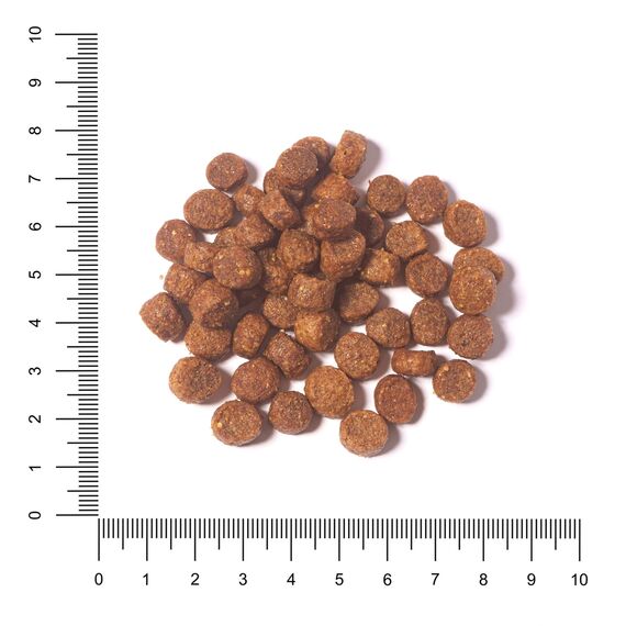 The Hunger of the Wolf Hundefutter für ausgewachsene Hunde kleiner und mittlerer Rassen, Trockenfutter mit Huhn, reich an Vitamin C und E - 3 kg