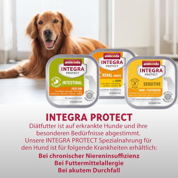 animonda INTEGRA PROTECT Intestinal Huhn Pur (6 x 400 g), Hunde Diätfutter bei Durchfall & Erbrechen, Hundefutter mit Huhn und Reis, leicht verdauliches Nassfutter für Hunde