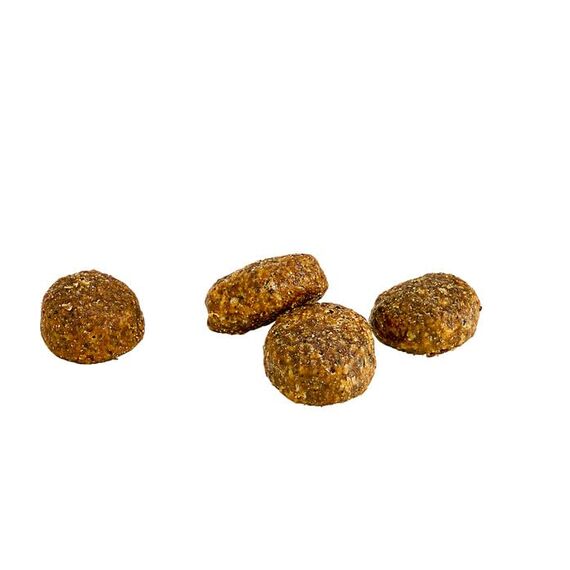 Dehner Wild Nature Hundefutter Hochmoor, Trockenfutter getreidefrei / zuckerfrei, für Welpen und junge Hunde, Ente, 4 kg