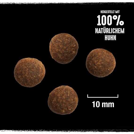 CRAVE Premium Trockenfutter mit Truthahn & Huhn für Hunde – Getreidefreies Adult Hundefutter mit hohem Proteingehalt – 6 x 1 kg