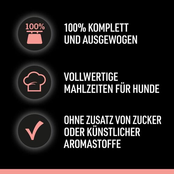 Cesar Selektion in Sauce Premium Hunde Nassfutter im Portionsbeutel 4 Varietäten 40x100g