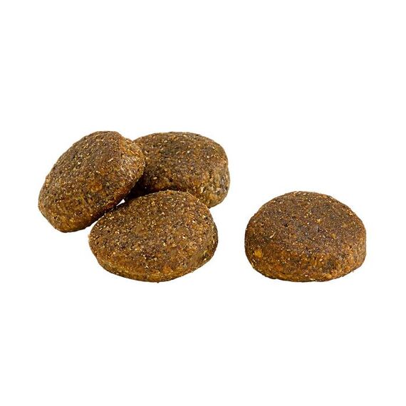 Dehner Wild Nature Hundefutter Gebirgssee, Trockenfutter getreidefrei / zuckerfrei, für ausgewachsene Hunde, Lachs / Huhn, 12 kg