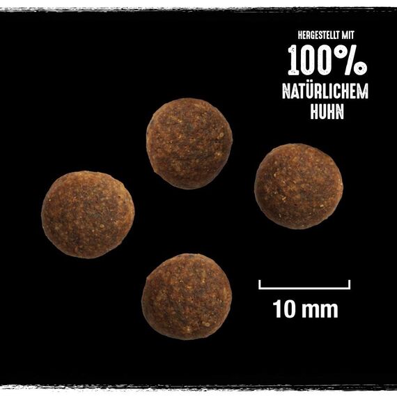 Crave Adult Trockenfutter mit Truthahn & Huhn, 11,5kg (1 Beutel) – Premium Hundefutter trocken mit hohem Proteingehalt und ohne Getreide – Hergestellt mit 100 Prozent natürlichem Huhn