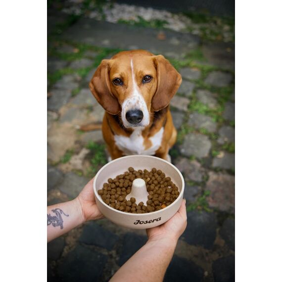 JOSERA Adult Light & Vital Huhn (1 x 3 kg) | Premium Trockenfutter für ausgewachsene Hunde | mit Erbse | phosphorarm - mit wenig Fett & Protein speziell für Senioren | glutenfrei | 1er Pack