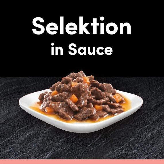 Cesar Selektion in Sauce Premium Hunde Nassfutter im Portionsbeutel 4 Varietäten 40x100g