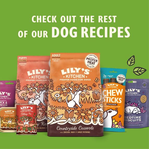 Lily's Kitchen Natürliches Nassfutter für ausgewachsene Hunde, Dosen, verschiedene Sorten (12 x 400g dosen)