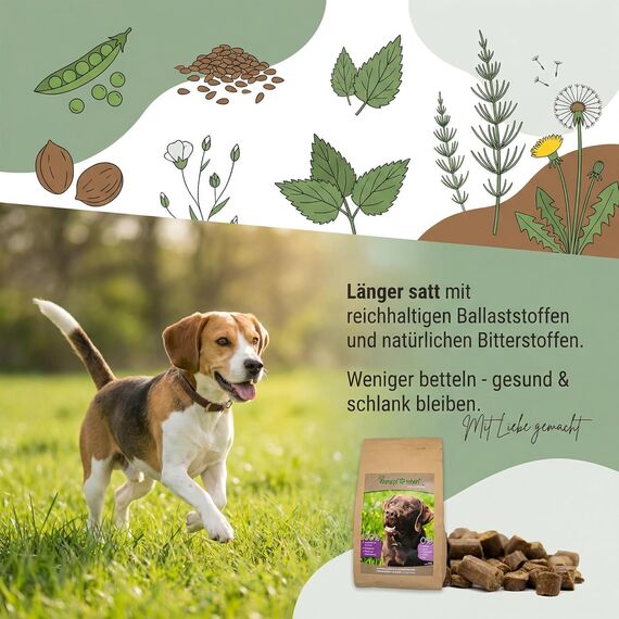 Markus-Mühle NaturNah Hundefutter, Kaltgepresst mit Hühnertrockenfleisch, Vollkornmais und Wild, 15 kg (15kg Markus Mühle Naturnah, + 800g Naturpfötchen Freilandgans Trockenfutter)