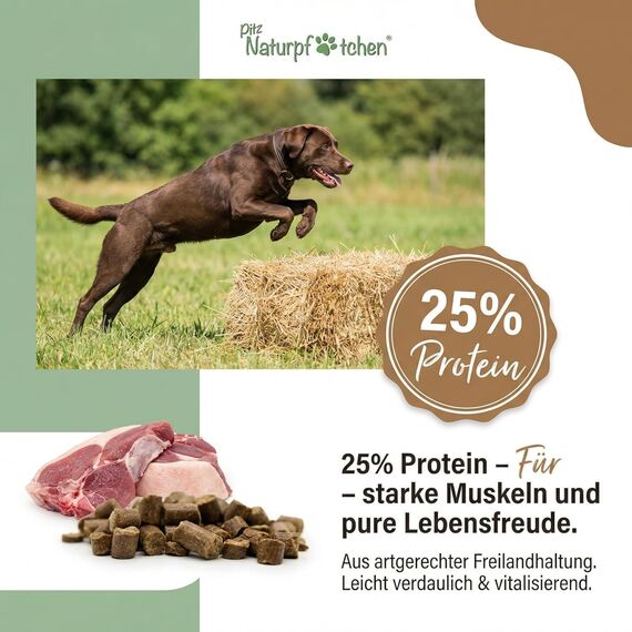 Markus-Mühle NaturNah Hundefutter, Kaltgepresst mit Hühnertrockenfleisch, Vollkornmais und Wild, 15 kg (15kg Markus Mühle Naturnah, + 800g Naturpfötchen Freilandgans Trockenfutter)