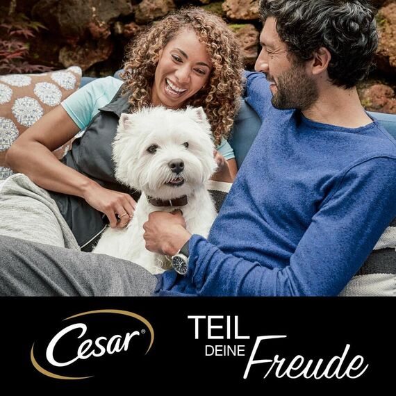 CESAR Adult Hundefutter nass - 4x12x100g Portionsbeutel - mit Huhn & Rind - Hundenassfutter in Gelee – Ausgewogenes Premium Nassfutter für Hunde - 4er Pack