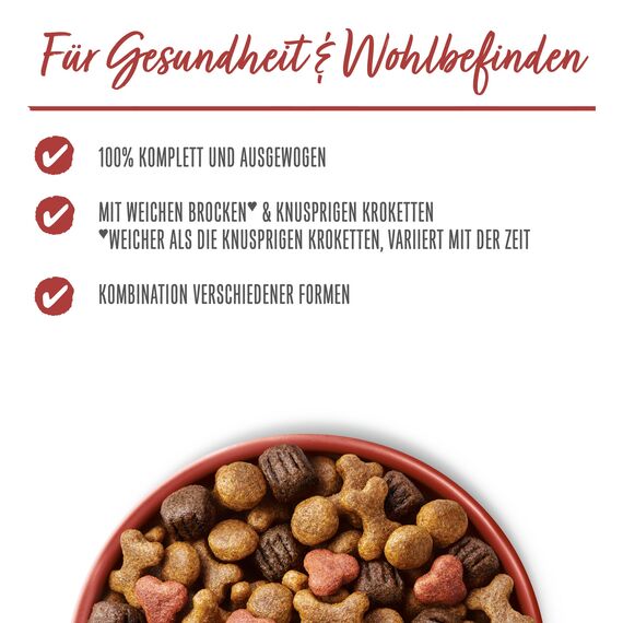 Beneful Original Hundefutter trocken, mit Rind und Gartengemüse, 6er Pack (6 x 1,4kg)