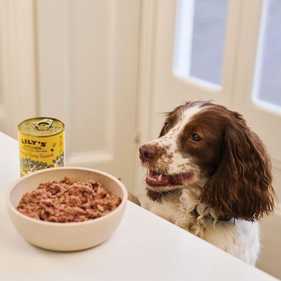 Lily's Kitchen Natürliches Nassfutter für ausgewachsene Hunde, Dosen, verschiedene Sorten (12 x 400g dosen)