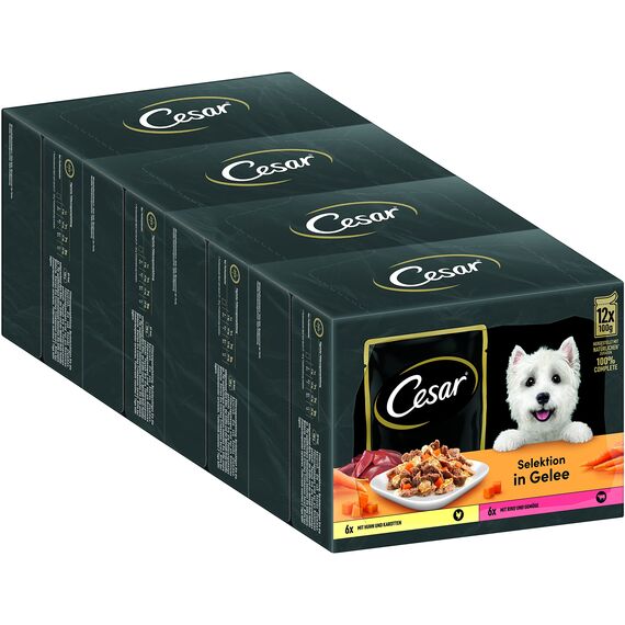 CESAR Adult Hundefutter nass - 4x12x100g Portionsbeutel - mit Huhn & Rind - Hundenassfutter in Gelee – Ausgewogenes Premium Nassfutter für Hunde - 4er Pack