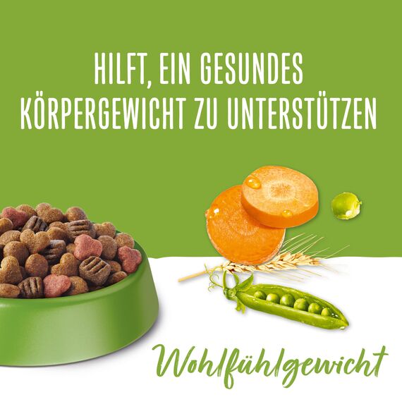 Beneful Wohlfühlgewicht Hundefutter trocken, mit Huhn und Gartengemüse, 6er Pack (6 x 1,4kg)