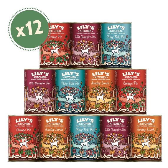 Lily's Kitchen natürliches Nassfutter für ausgewachsene Hunde, Dosen, getreidefreie Rezepturen, verschiedene Sorten (12 x 400g dosen)