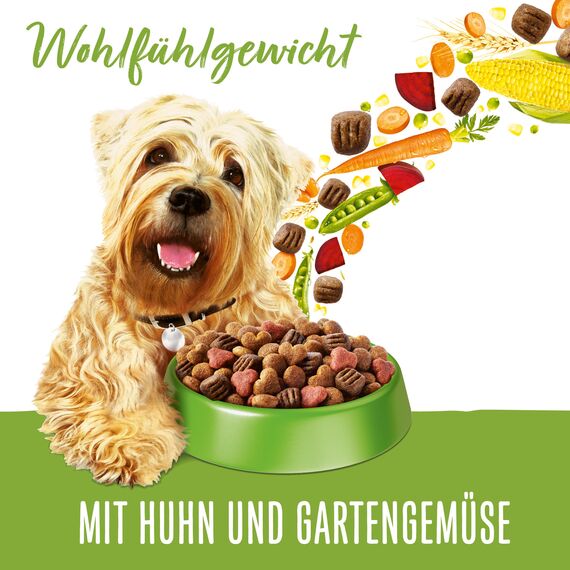 Beneful Wohlfühlgewicht Hundefutter trocken, mit Huhn und Gartengemüse, 4er Pack (4 x 2,8kg)
