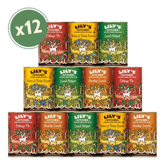 Lily's Kitchen Natürliches Nassfutter für ausgewachsene Hunde, Dosen, verschiedene Sorten (12 x 400g dosen)