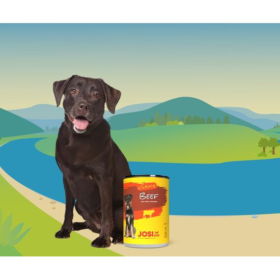 JosiDog Beef in Sauce (12 x 415 g) | Adult | Premium Nassfutter für ausgewachsene Hunde | mit Rind in Sauce mit Vitamin D3 & E | Powered by JOSERA | Hundefutter nass | Alleinfutter | 12er Pack