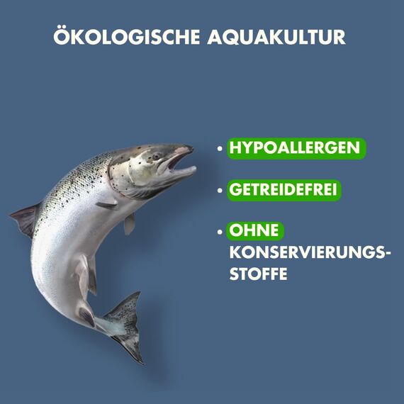 Irish Pure Hypoallergenes Trockenfutter Adult | 1,5kg | Atlantik-Lachs mit Kelp-Alge & Gemüse | Hoher Fleischanteil | Getreidefrei | Sensitiv | Hundetrockenfutter | Für alle Rassen
