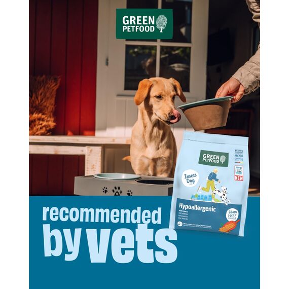 Green Petfood InsectDog Hypoallergen mit Insekten (1 x 3 kg) | Adult | Premium Trockenfutter für ausgewachsene allergische Hunde | getreidefrei | nachhaliges Hundefutter | German Quality | 1er Pack