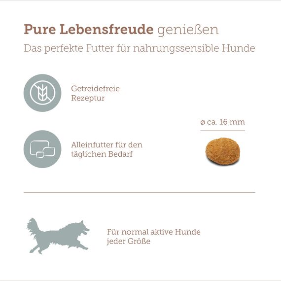 MERA Pure Sensitive Fresh Meat Truthahn & Kartoffeln, Hundefutter trocken mit viel frischem Fleisch, gesundes Trockenfutter getreidefrei für ausgewachsene Hunde (12,5 kg)
