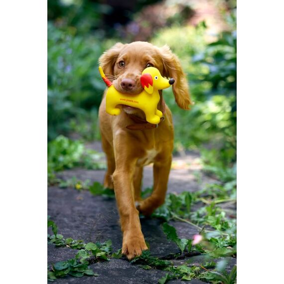 JOSERA Mini Adult Huhn & Reis (1 x 3 kg) | Premium Trockenfutter für ausgewachsene Hunde Kleiner Rassen | mit Biotin für Haut & Fell | kleine Kroketten | extraverträglich | gluternfrei | 1er Pack