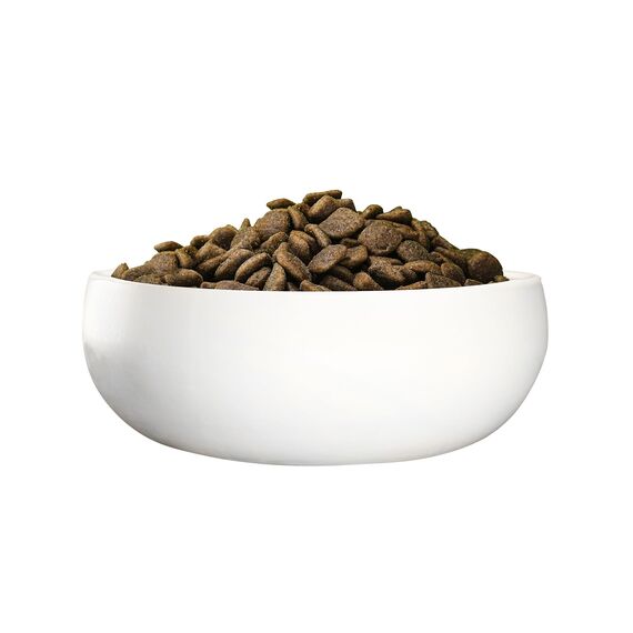 Green Petfood InsectDog Hypoallergen mit Insekten (1 x 3 kg) | Adult | Premium Trockenfutter für ausgewachsene allergische Hunde | getreidefrei | nachhaliges Hundefutter | German Quality | 1er Pack