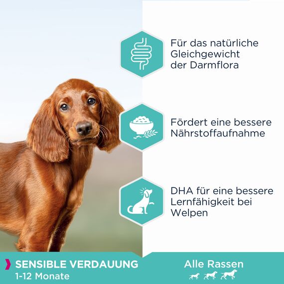 Eukanuba Daily Care Sensitive Digestion Welpenfutter - Trockenfutter für Welpen mit sensibler Verdauung, Magenfreundlich mit leicht verdaulichem Reis, 2,3 kg