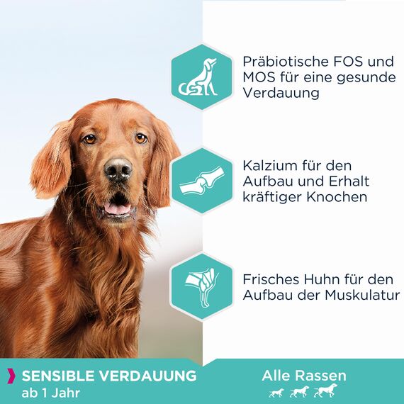 Eukanuba Daily Care Sensitive Digestion Hundefutter - Trockenfutter für Hunde mit sensibler Verdauung, Magenfreundlich mit leicht verdaulichem Reis, 2,3 kg