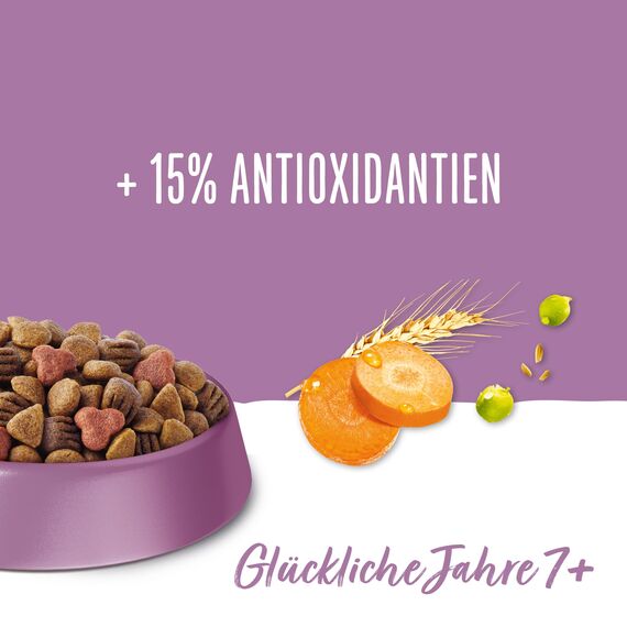 Beneful Glückliche Jahre 7+ Senior Hundefutter trocken, mit Huhn und Gartengemüse, 6er Pack (6 x 1,4kg)
