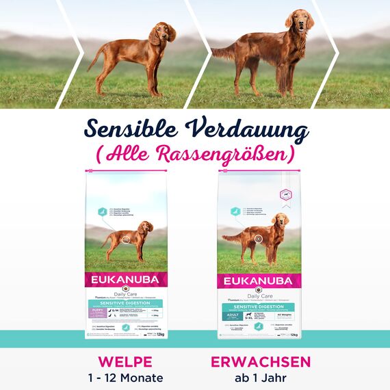 Eukanuba Daily Care Sensitive Digestion Welpenfutter - Trockenfutter für Welpen mit sensibler Verdauung, Magenfreundlich mit leicht verdaulichem Reis, 12 kg