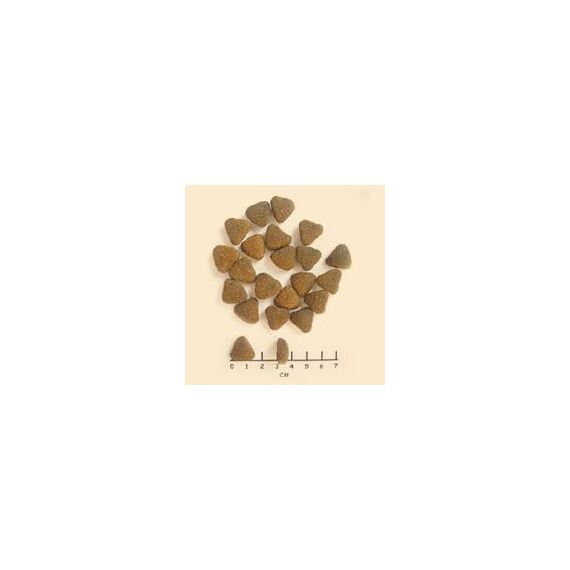 WOLFSBLUT – Wide Plain Adult | Trockenfutter mit natürlichen Zutaten und wertvollen Superfoods für ausgewachsene Hunde. Getreidefreies Alleinfutter ohne Zusatzstoffe im Beutel | 500g Pferd