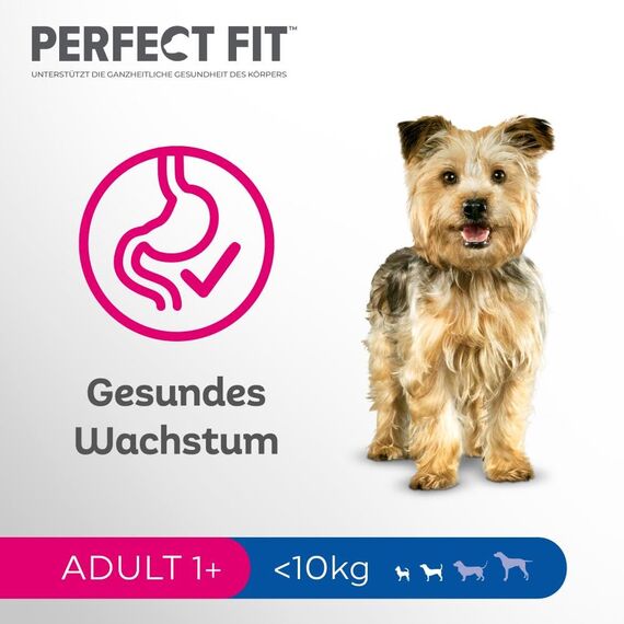 Perfect Fit Hund Adult 1+ <10kg mit Huhn 6 x 825g