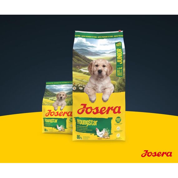 JOSERA Junior YoungStar Huhn & Kartoffel (1 x 900 g) | Premium Trockenfutter für wachsende Hunde | Welpenfutter für mittlere und große Rassen zur optimalen Versorgung | getreidefrei | 1er Pack