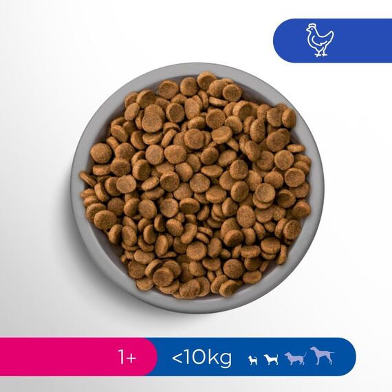 Perfect Fit Hund Adult 1+ <10kg mit Huhn 6 x 825g